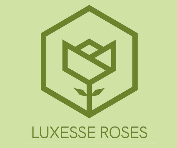 Luxesse Roses