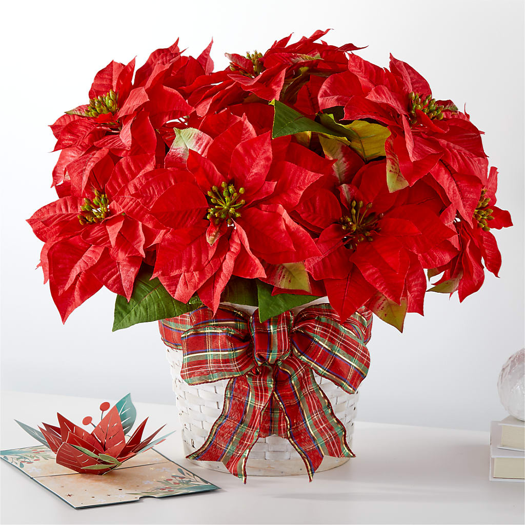 Happiest Holidays Poinsettia and Lovepop Card – Luxesse Roses, Herriman UT