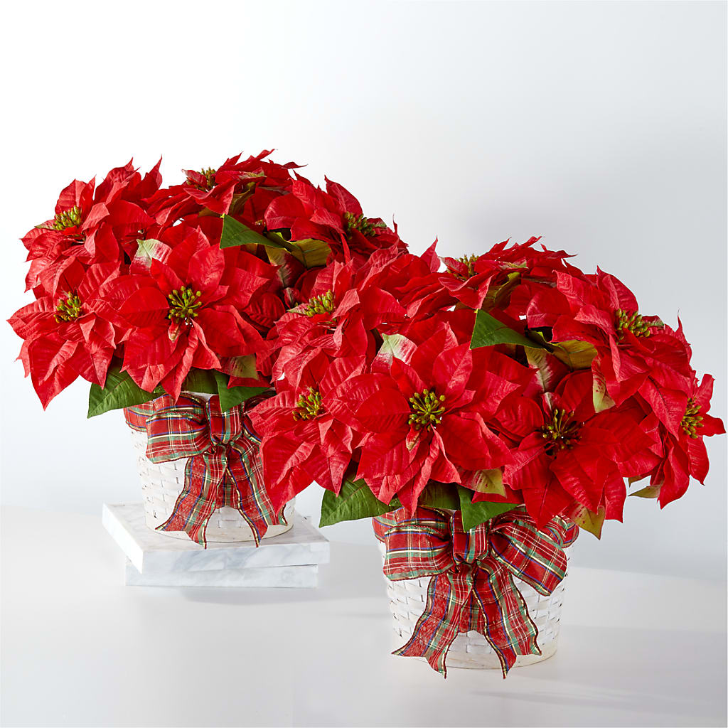 Happiest Holidays Poinsettia Bundle – Luxesse Roses, Herriman UT