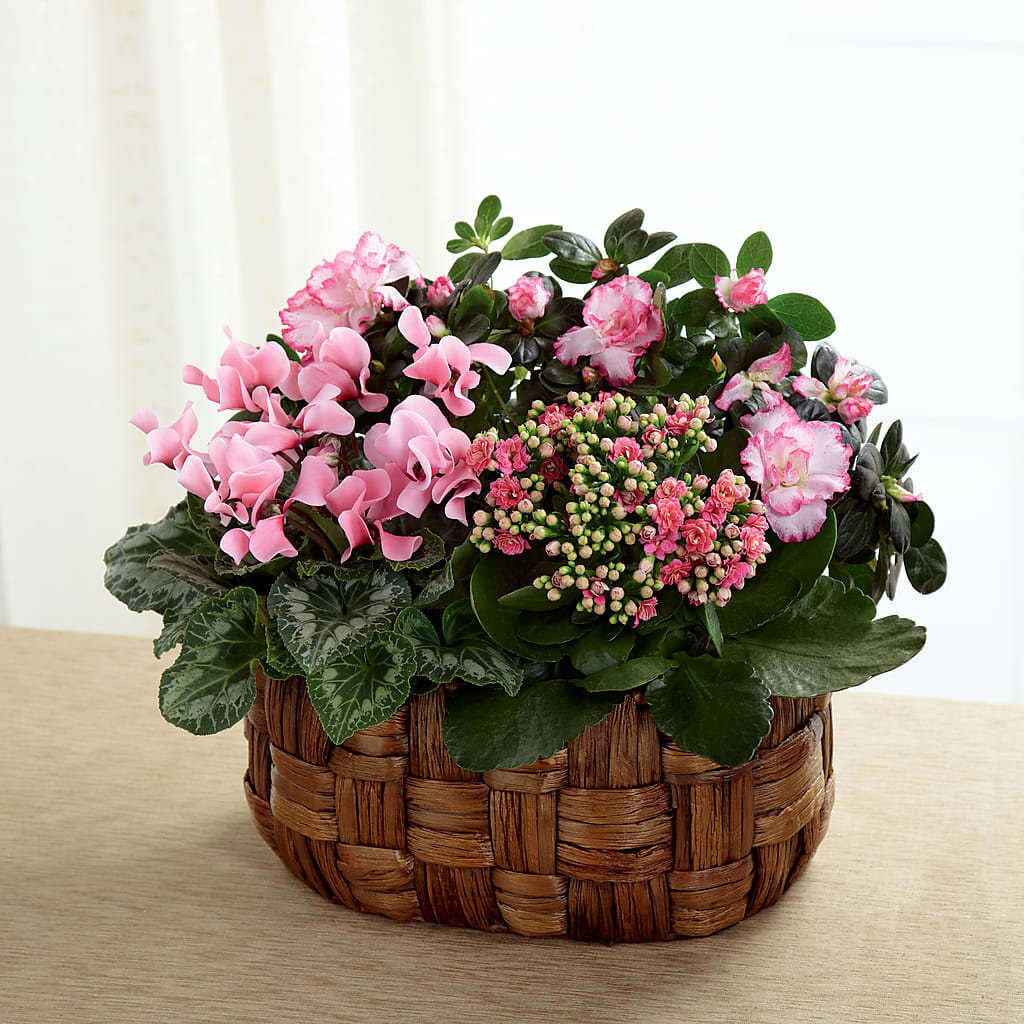 Pink Assortment – Luxesse Roses, Herriman UT