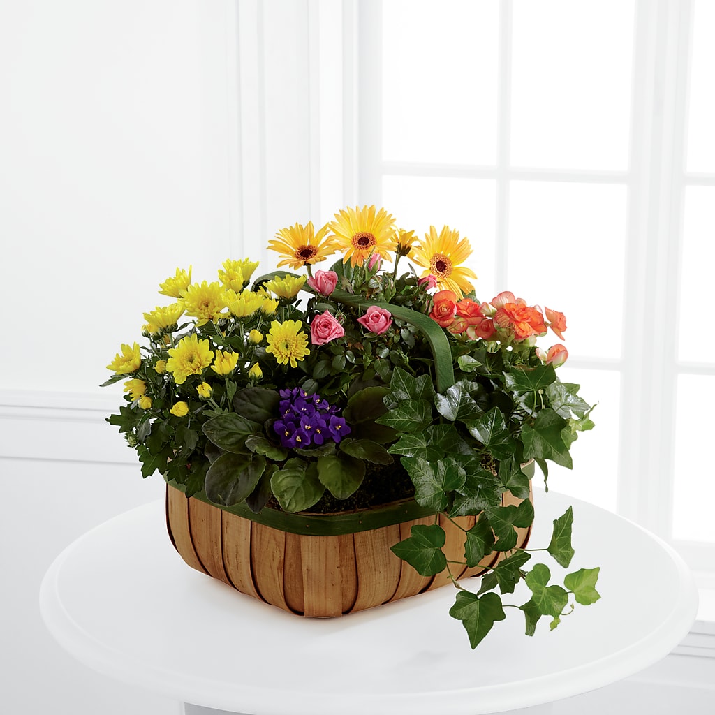 Gentle Blossoms Basket – Luxesse Roses, Herriman UT