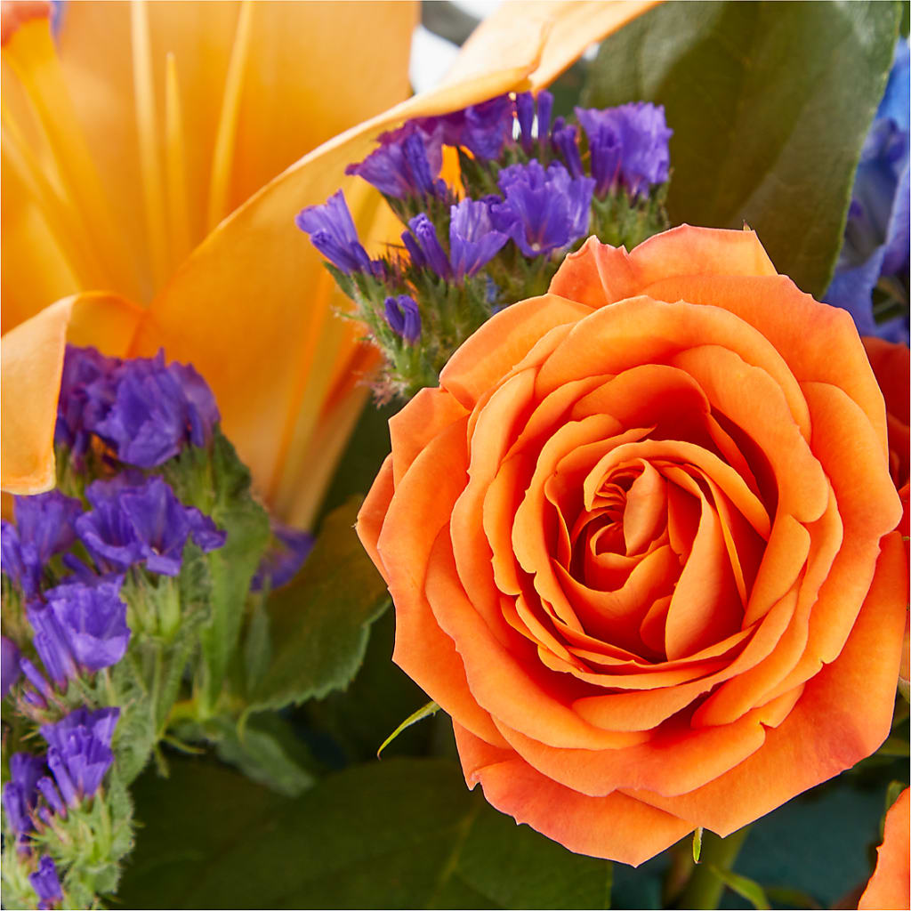 Radiant Citrus Box Bouquet – Luxesse Roses, Herriman UT