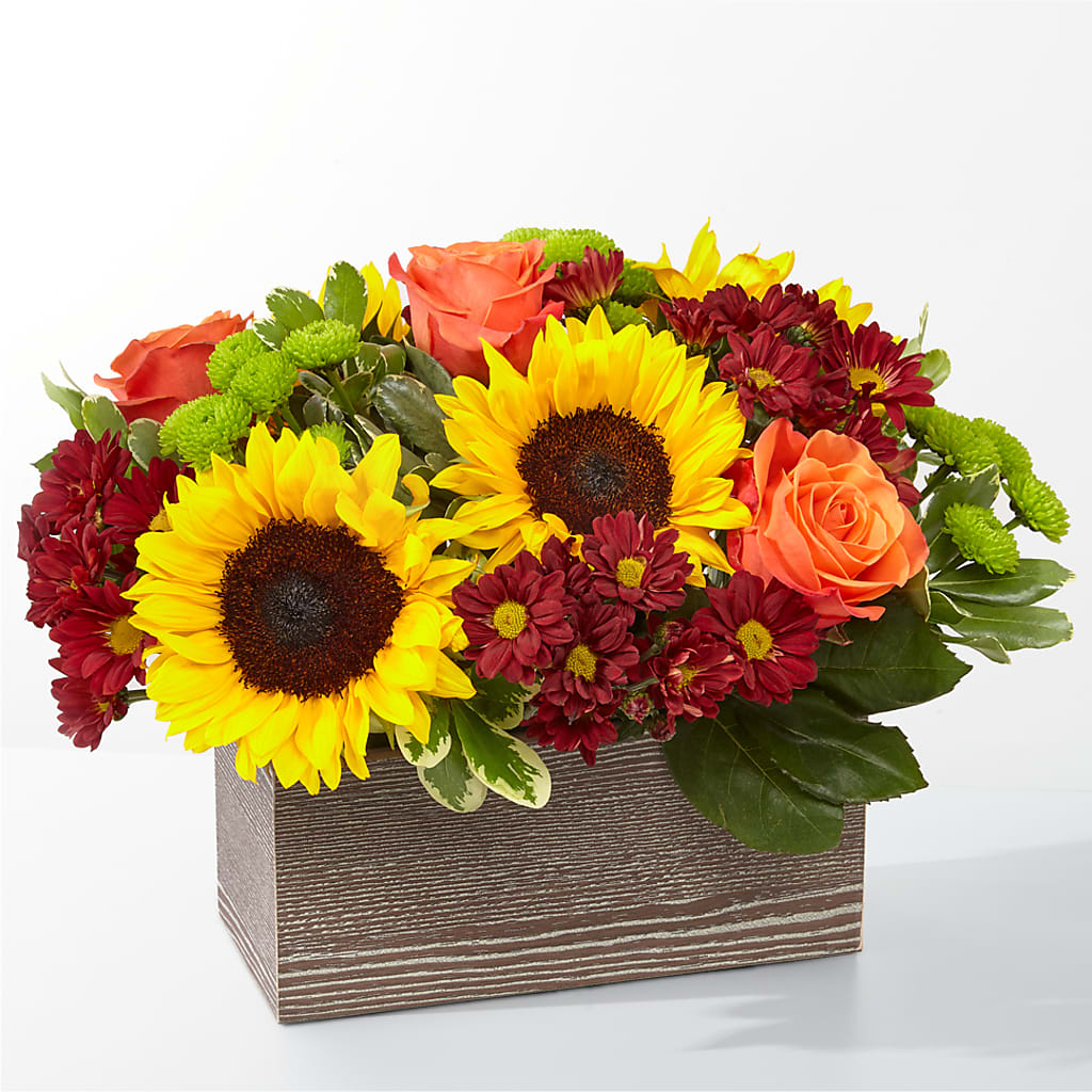 Happy Harvest Garden – Luxesse Roses, Herriman UT