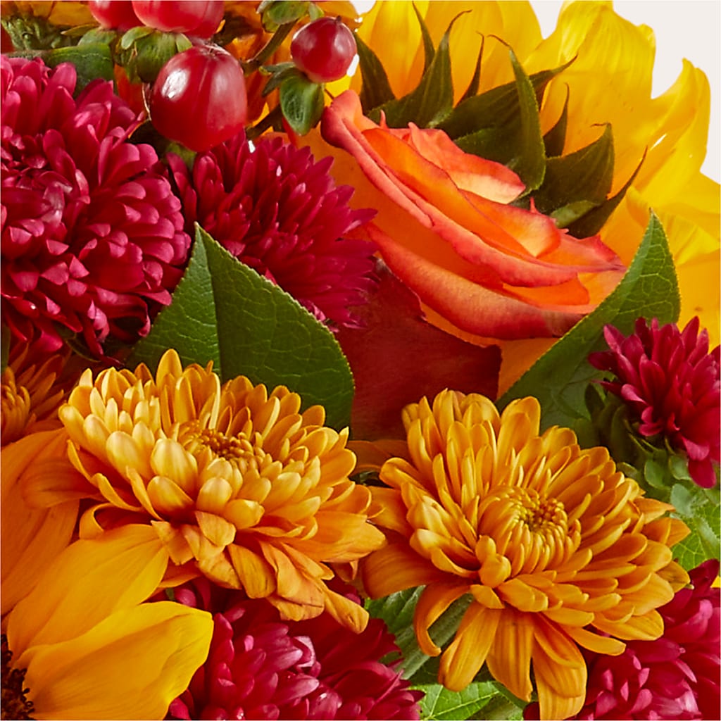 Sweater Season - A Florist Original – Luxesse Roses, Herriman UT
