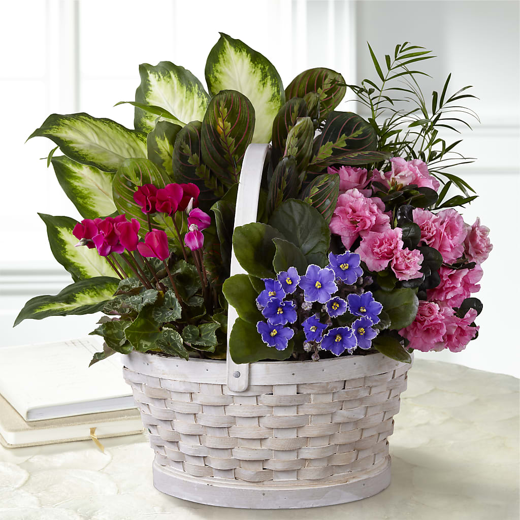 Peaceful Garden Planter – Luxesse Roses, Herriman UT