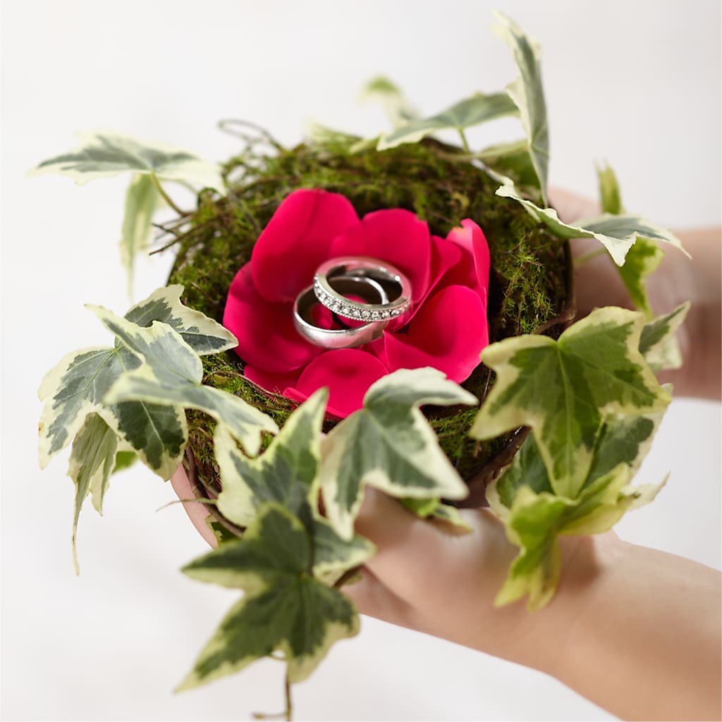 Lila Rose Ring Nest – Luxesse Roses, Herriman UT