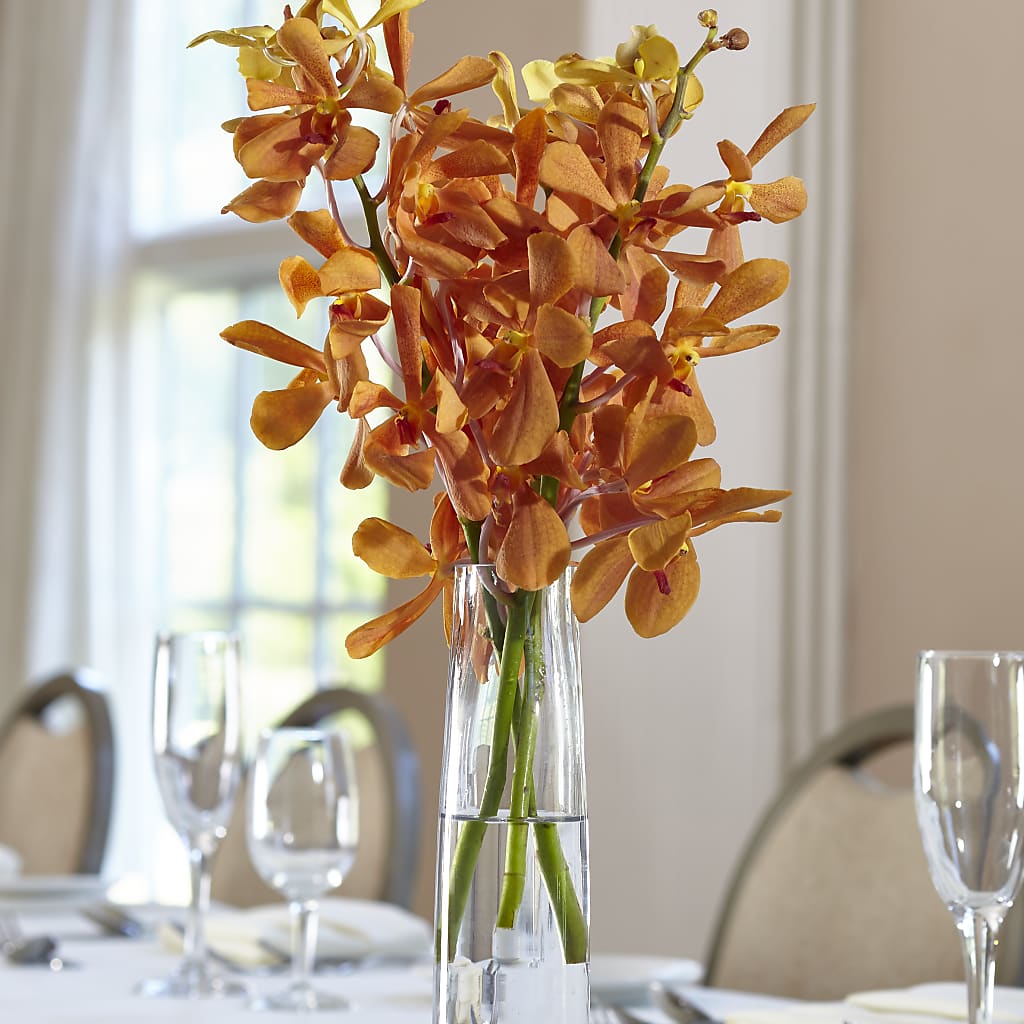 Orange Mokara Bud Vase – Luxesse Roses, Herriman UT