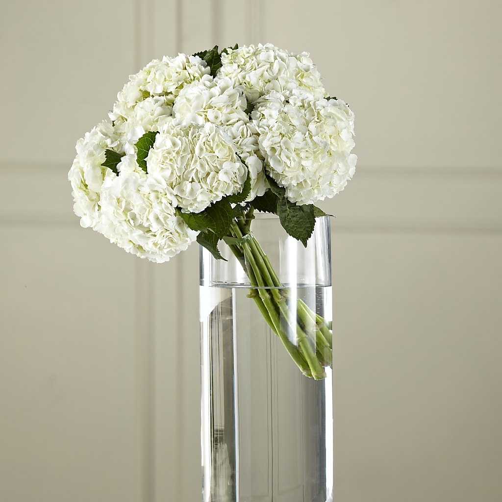 White Hydrangea Hand-Tied Bouquet – Luxesse Roses, Herriman UT