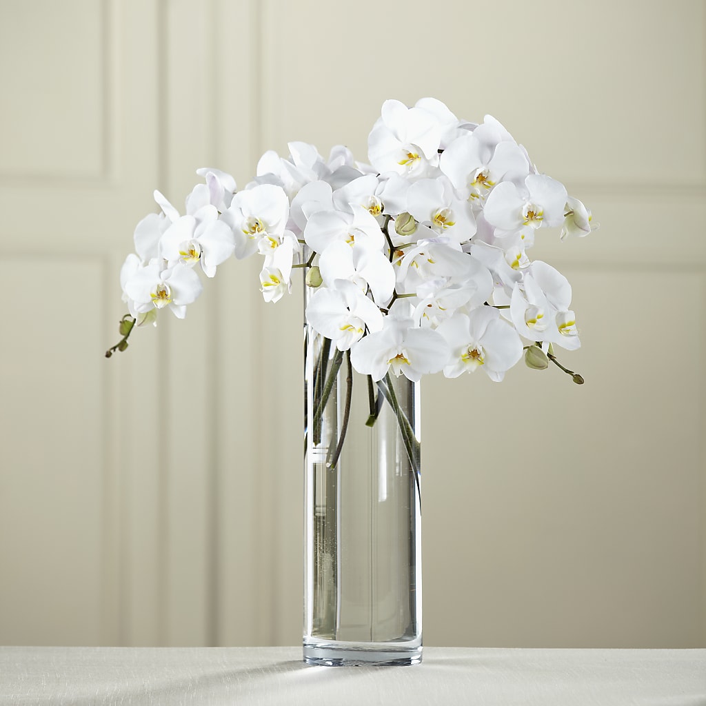 White Phalaenopsis Bouquet – Luxesse Roses, Herriman UT