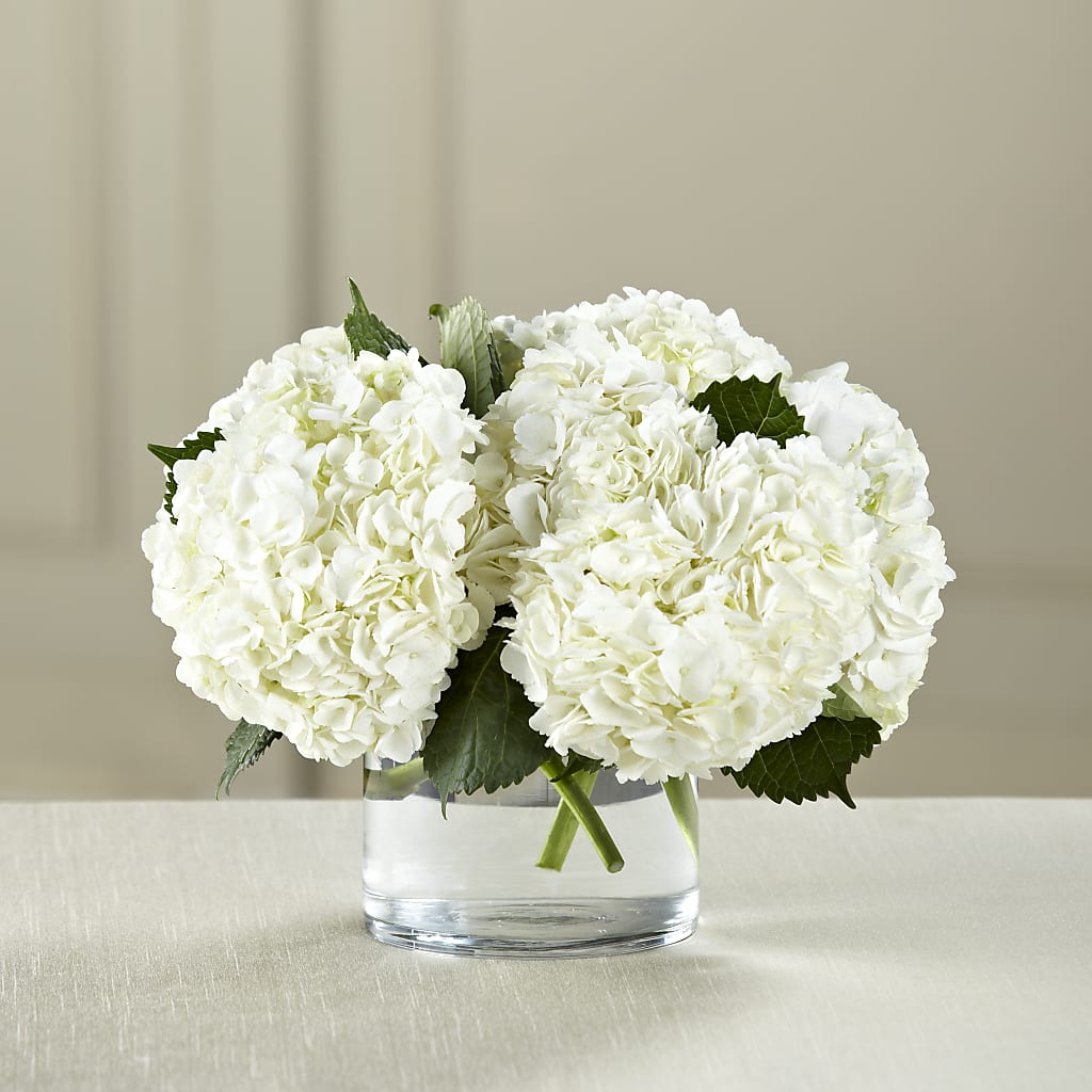 White Hydrangea Bouquet – Luxesse Roses, Herriman UT