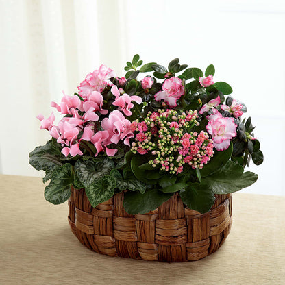 Pink Assortment –  Luxesse Roses, Herriman UT
