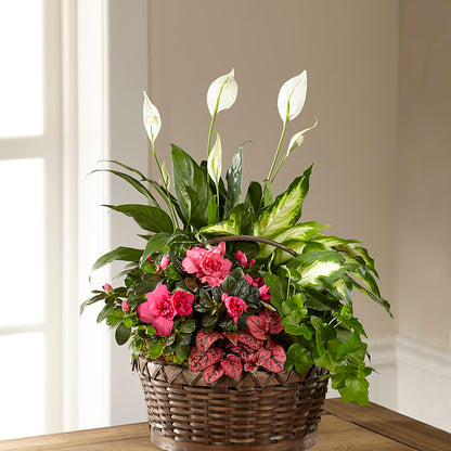 Dream in Pink Dishgarden –  Luxesse Roses, Herriman UT