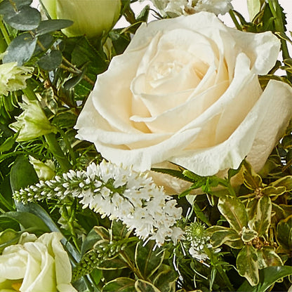 Cashmere Bouquet –  Luxesse Roses, Herriman UT