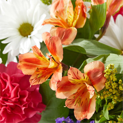 Oopsie Daisy Box Bouquet –  Luxesse Roses, Herriman UT