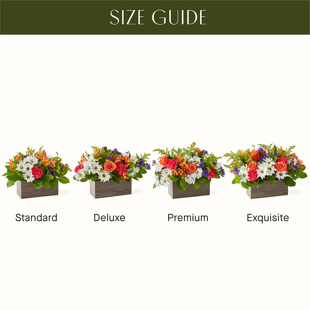 Oopsie Daisy Box Bouquet –  Luxesse Roses, Herriman UT