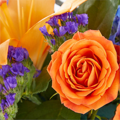 Radiant Citrus Box Bouquet –  Luxesse Roses, Herriman UT