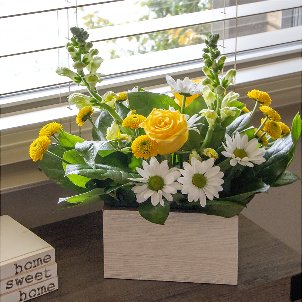 Sun Salutation Box Bouquet –  Luxesse Roses, Herriman UT
