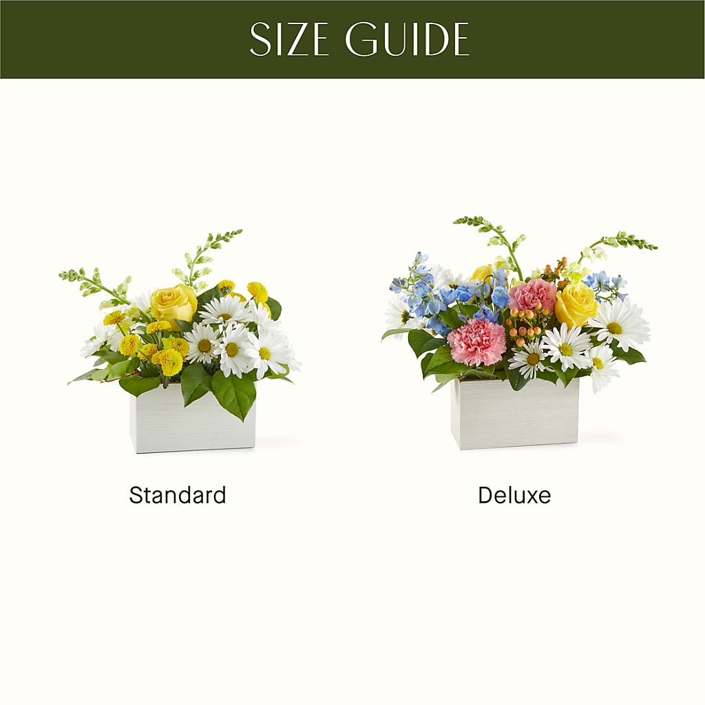 Sun Salutation Box Bouquet –  Luxesse Roses, Herriman UT