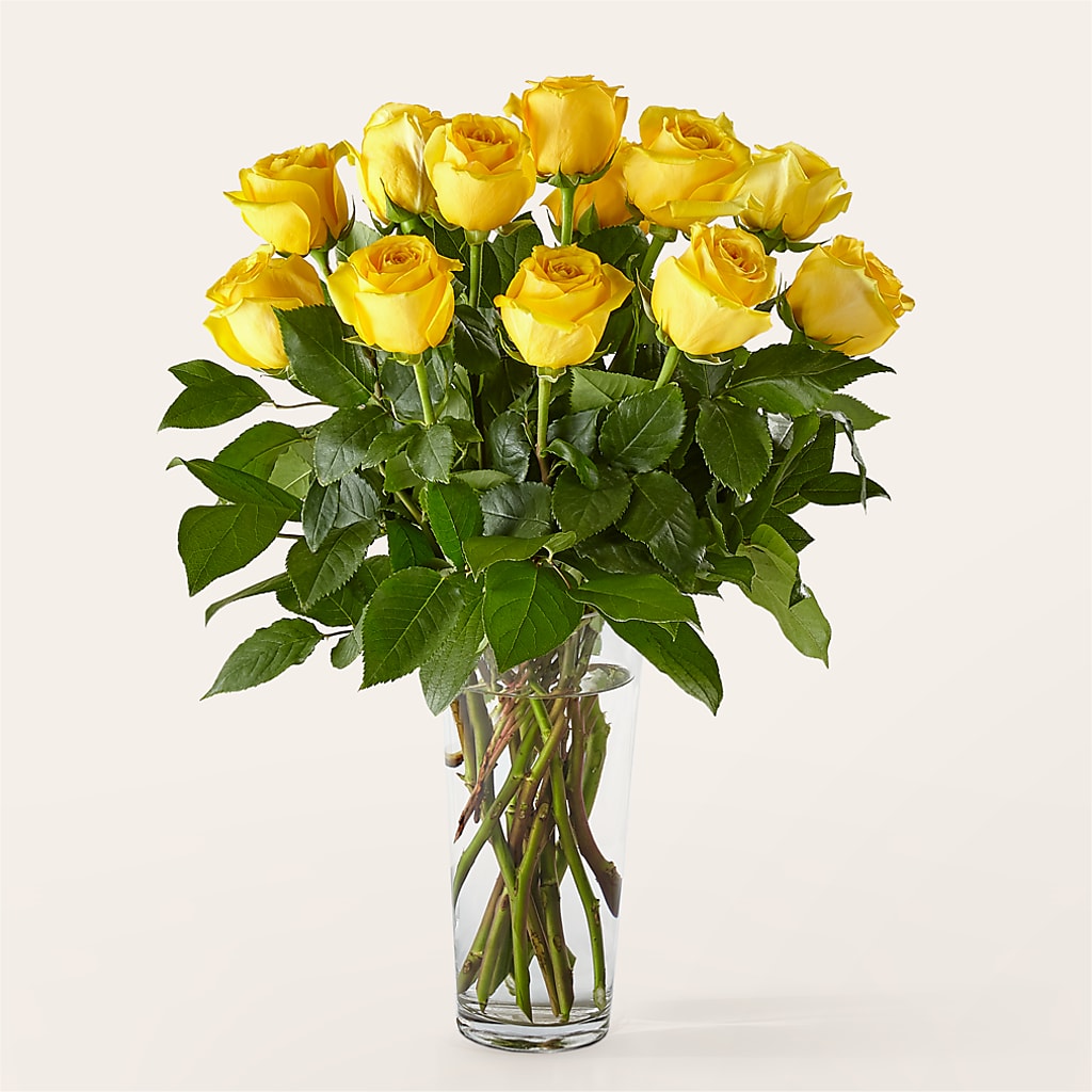 Long Stem Yellow Rose Bouquet –  Luxesse Roses, Herriman UT
