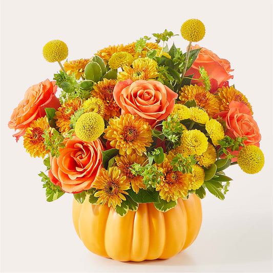 Gourdgeous Pumpkin –  Luxesse Roses, Herriman UT
