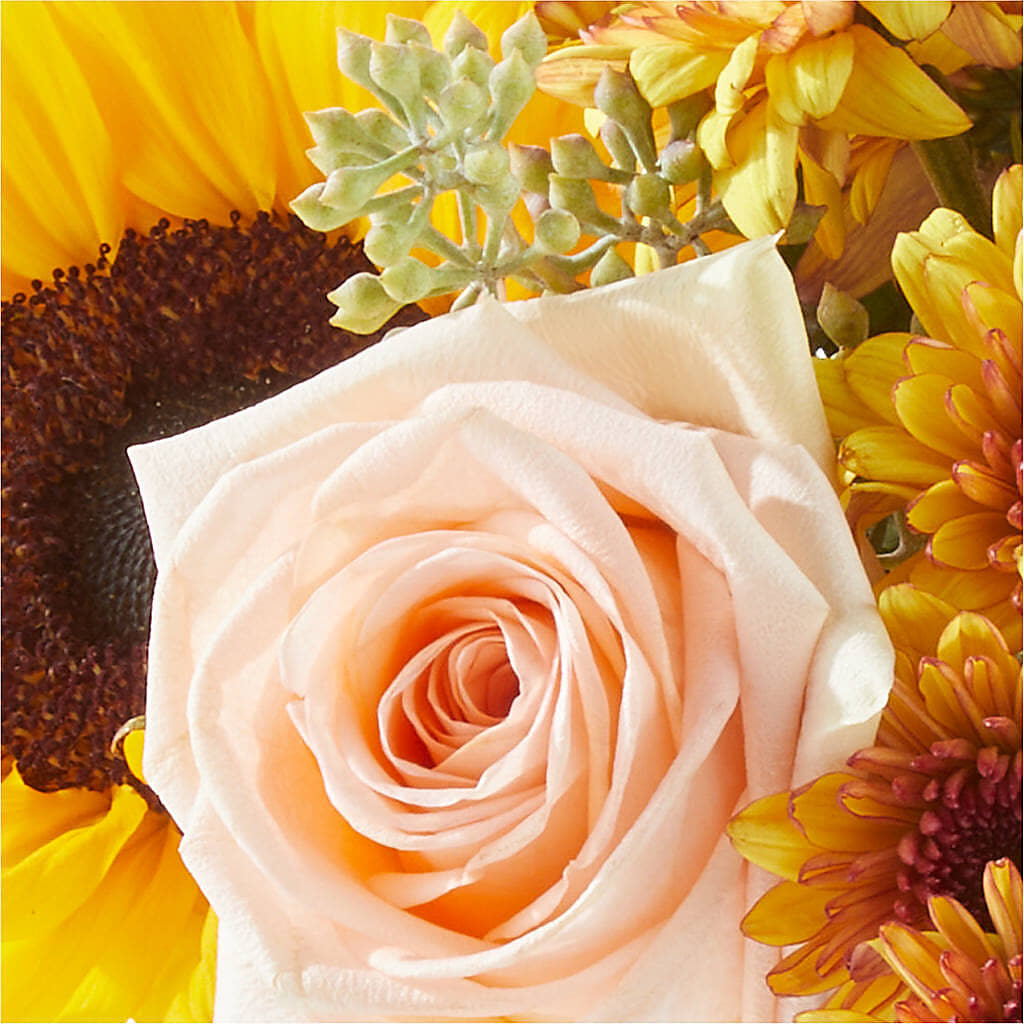 Pumpkin to Talk About Bouquet –  Luxesse Roses, Herriman UT