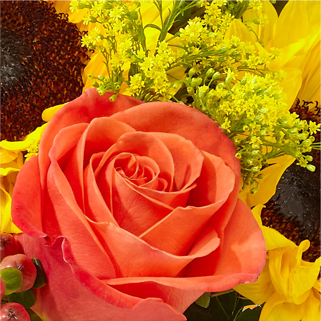 Pick of the Patch Pumpkin Bouquet –  Luxesse Roses, Herriman UT