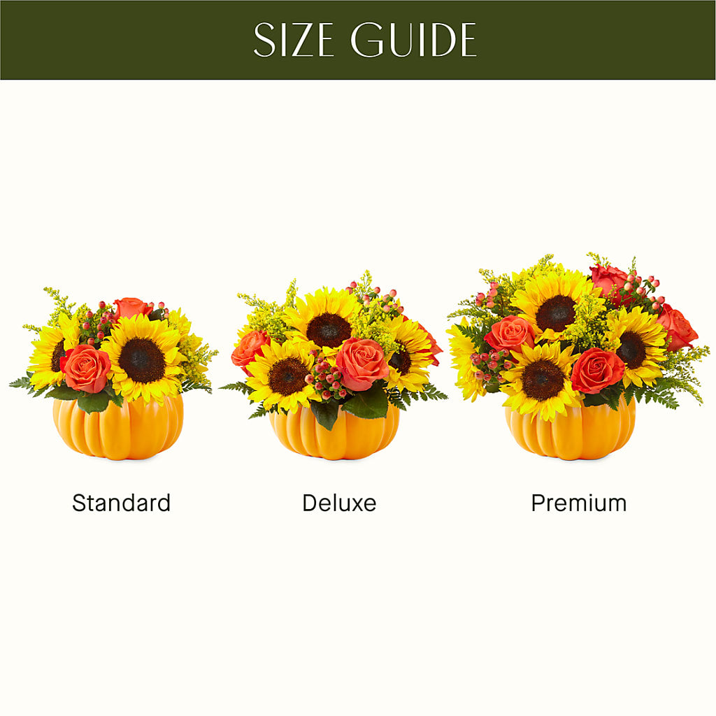 Pick of the Patch Pumpkin Bouquet –  Luxesse Roses, Herriman UT