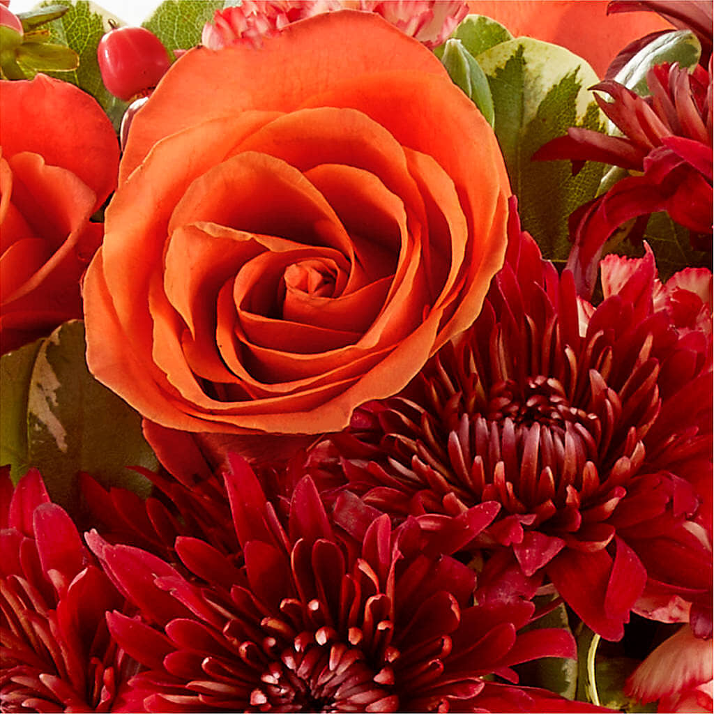 Autumn Air Pumpkin Bouquet –  Luxesse Roses, Herriman UT