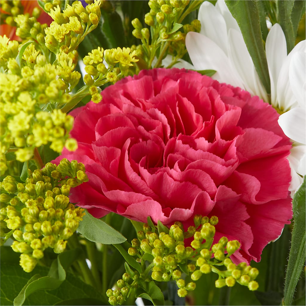 Oopsie Daisy Bouquet –  Luxesse Roses, Herriman UT