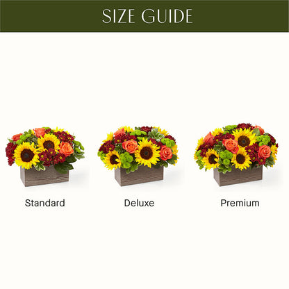 Happy Harvest Garden –  Luxesse Roses, Herriman UT