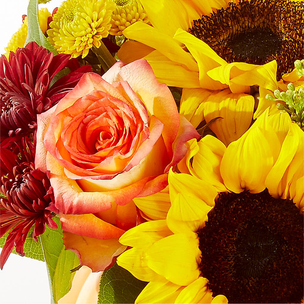 Golden Gourd Pumpkin Bouquet –  Luxesse Roses, Herriman UT