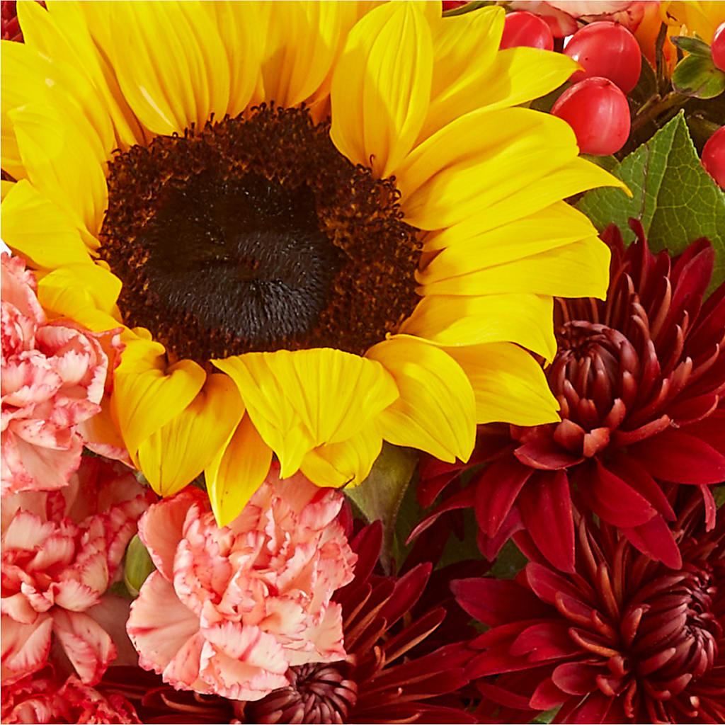 Fresh Cider Bouquet –  Luxesse Roses, Herriman UT