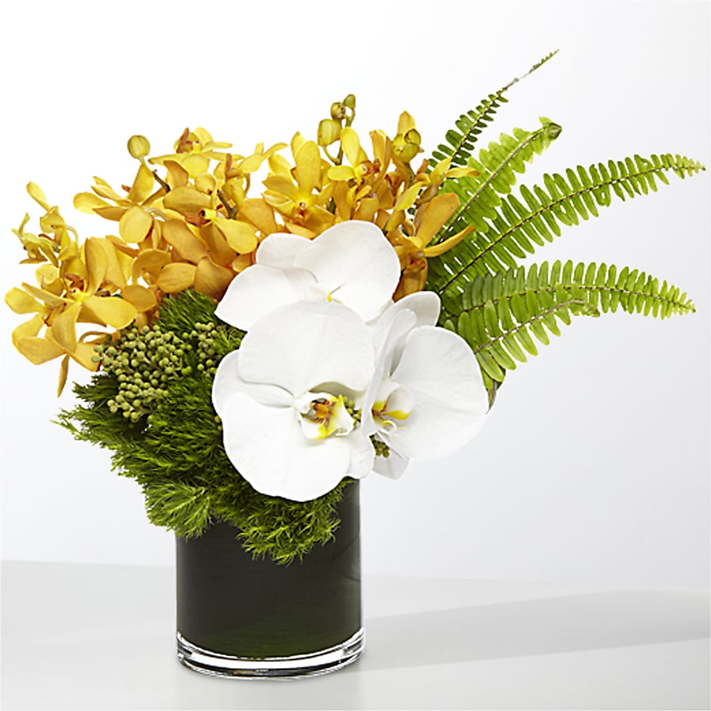 The Tropics –  Luxesse Roses, Herriman UT