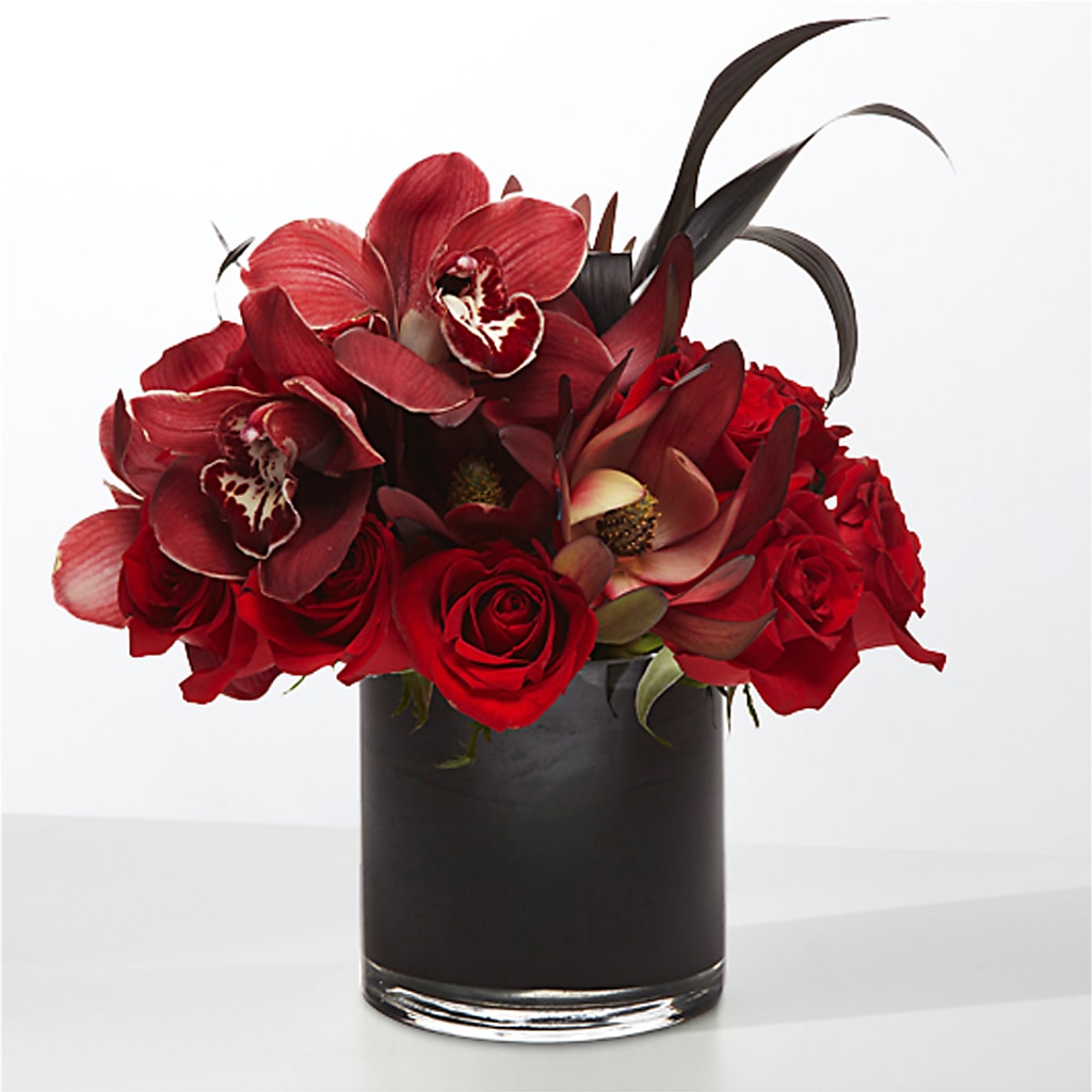 The Eclipse –  Luxesse Roses, Herriman UT