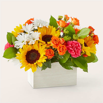 Sun-drenched Blooms Box Bouquet –  Luxesse Roses, Herriman UT