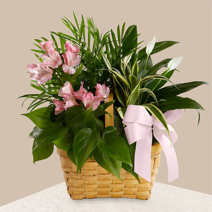 Living Spirit Dishgarden –  Luxesse Roses, Herriman UT