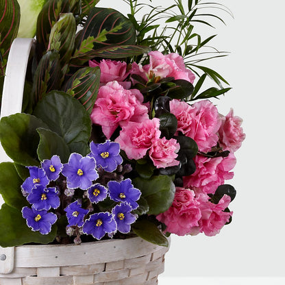 Peaceful Garden Planter –  Luxesse Roses, Herriman UT
