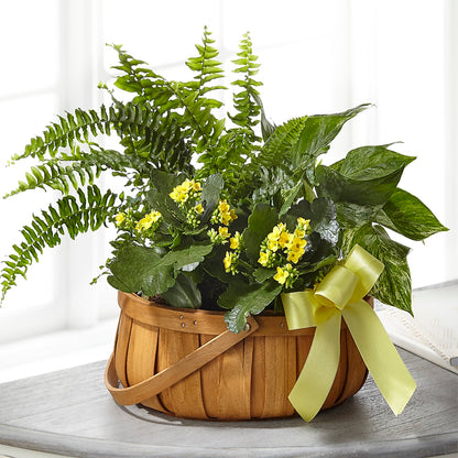Always Dear Dishgarden –  Luxesse Roses, Herriman UT