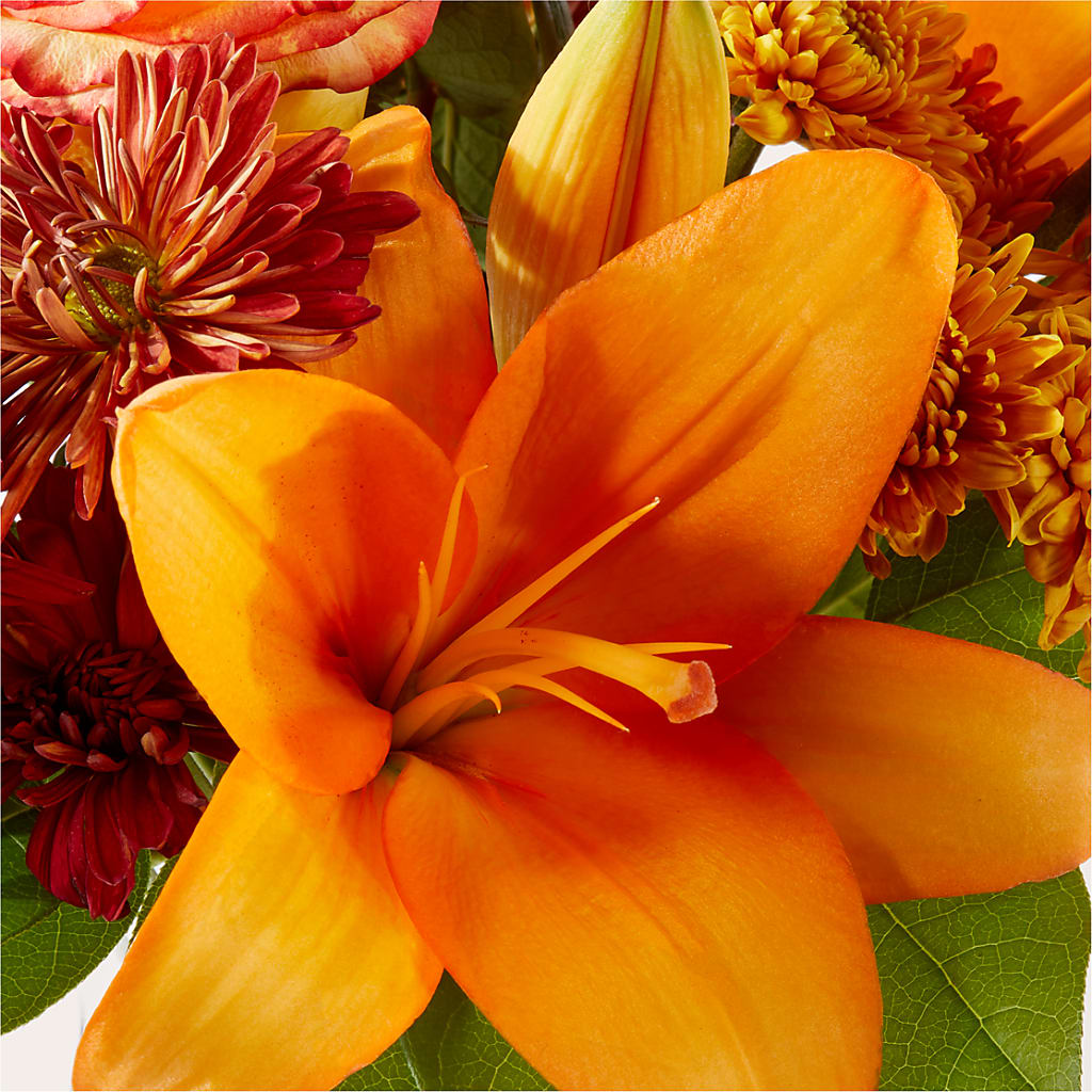 Autumnal Aroma Bouquet –  Luxesse Roses, Herriman UT