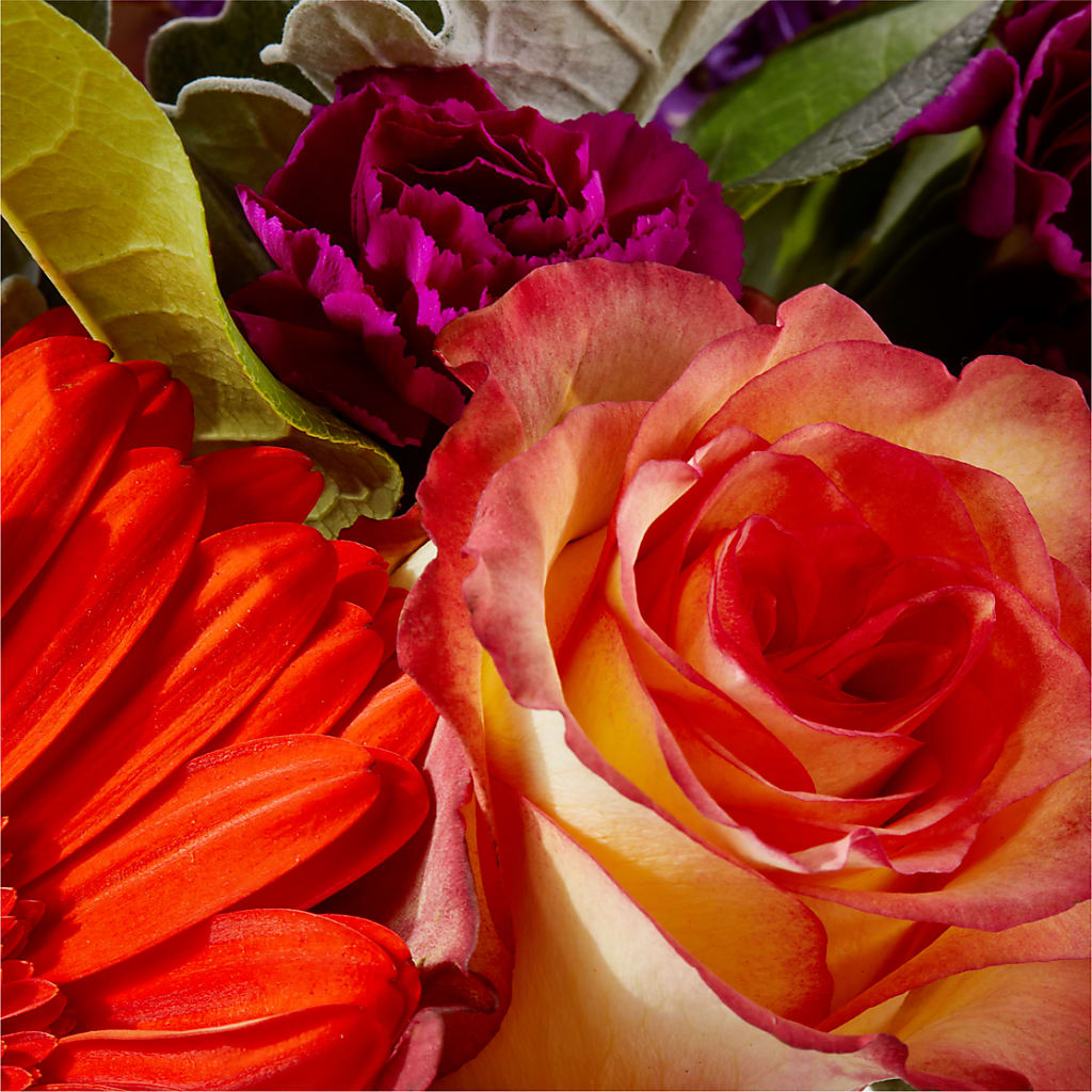 Sangria Bouquet –  Luxesse Roses, Herriman UT