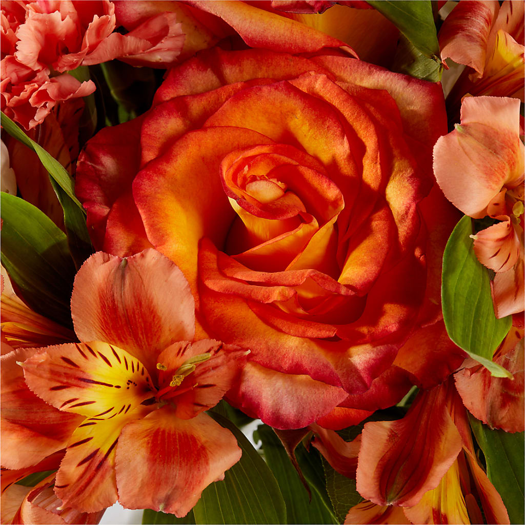 Apricot Glow Bouquet –  Luxesse Roses, Herriman UT