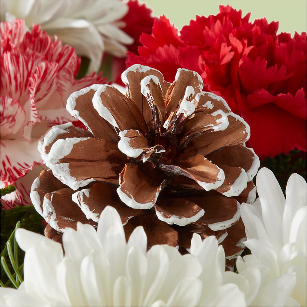 Candy Cane Lane Bouquet –  Luxesse Roses, Herriman UT