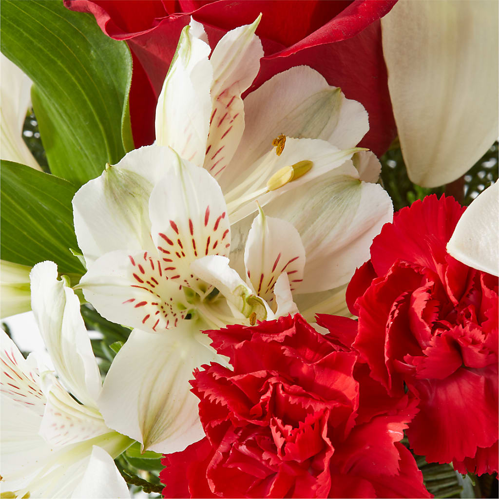 Holiday Season Bouquet –  Luxesse Roses, Herriman UT