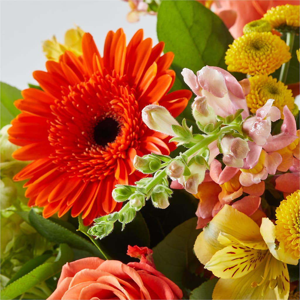 Autumn Sunshine Bouquet –  Luxesse Roses, Herriman UT