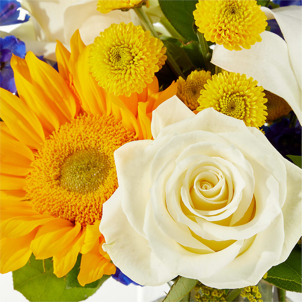 Stargazing Bouquet –  Luxesse Roses, Herriman UT