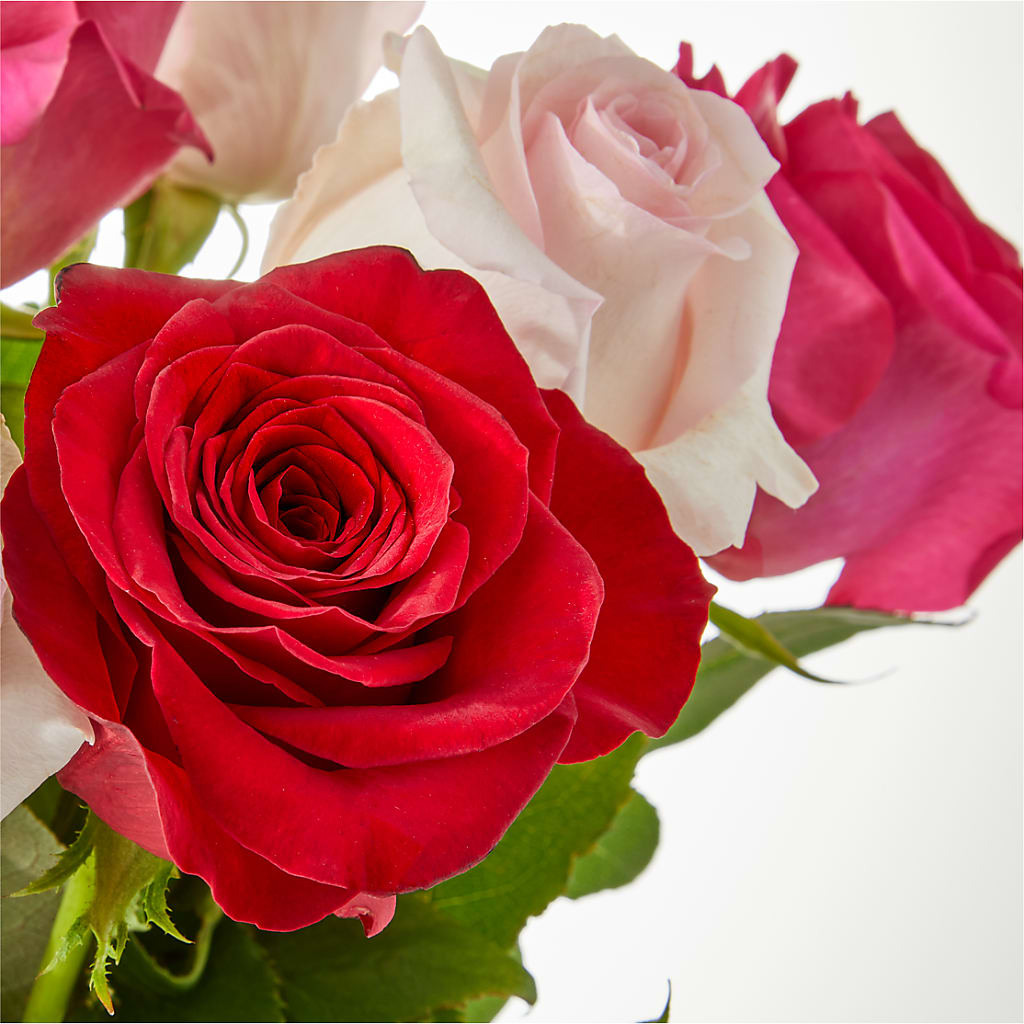 Charming Rose Bouquet –  Luxesse Roses, Herriman UT