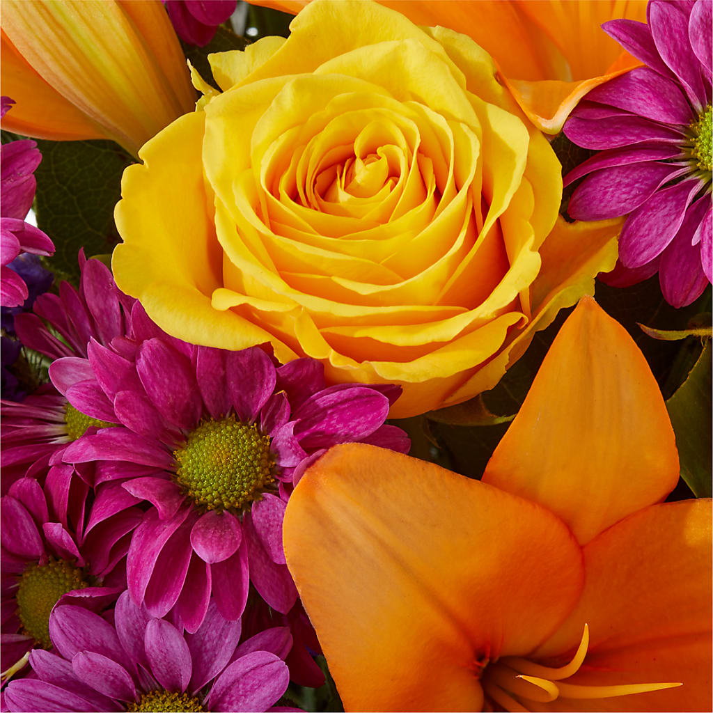 Colorful Visions Bouquet –  Luxesse Roses, Herriman UT