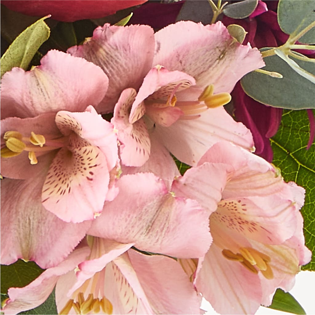 Berry Cobbler Bouquet –  Luxesse Roses, Herriman UT
