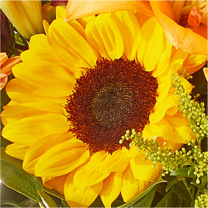 Seasons Change Bouquet –  Luxesse Roses, Herriman UT