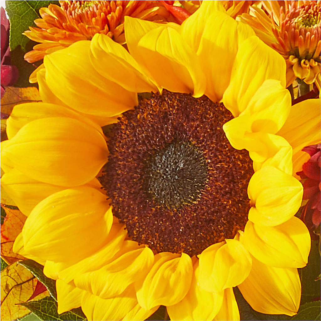 Sunny Side Bouquet –  Luxesse Roses, Herriman UT